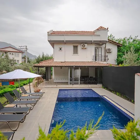 Fethiye Oeluedeniz'De Dag Ve Doga Manzarali Lueks Villa A1 Holiday home Fethiye